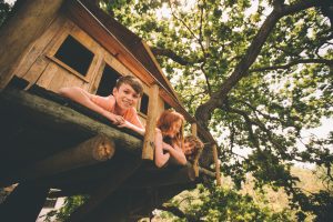 Lakeside Tree Experts